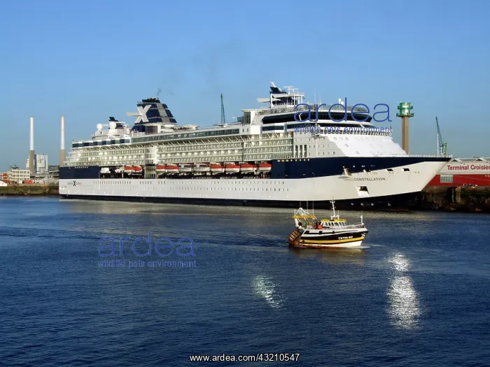 : Cruise Ship, Le Havre, Normandy, France : Cruise Ship, Le Havre, Normandy, France