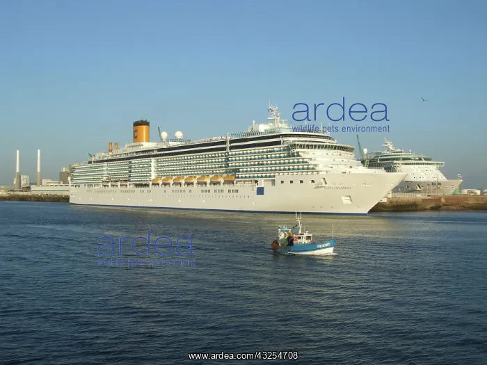 : Cruise Ship, Le Havre, Normandy, France : Cruise Ship, Le Havre, Normandy, France