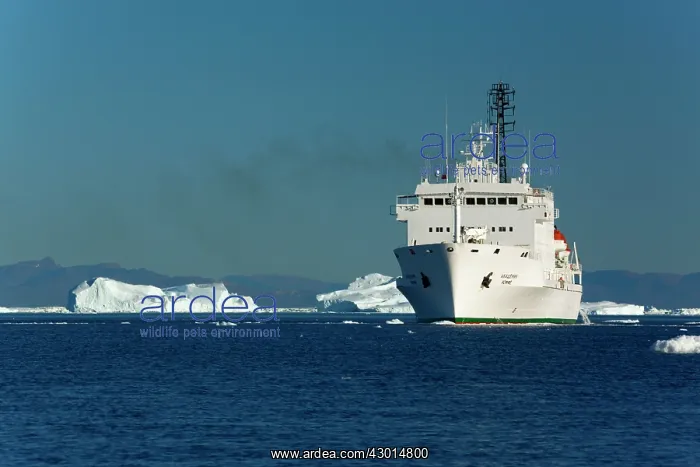 : Cruise Ship between melting ice floes and : Cruise Ship between melting ice floes and