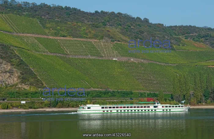 : Cruise ship on the Rhine river near village : Cruise ship on the Rhine river near village