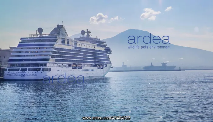 : Cruise ship at Statione Marittima in port with Mount : Cruise ship at Statione Marittima in port with Mount