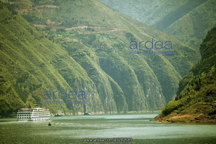 : Cruise ship on the Yangtze River through the Qutang : Cruise ship on the Yangtze River through the Qutang