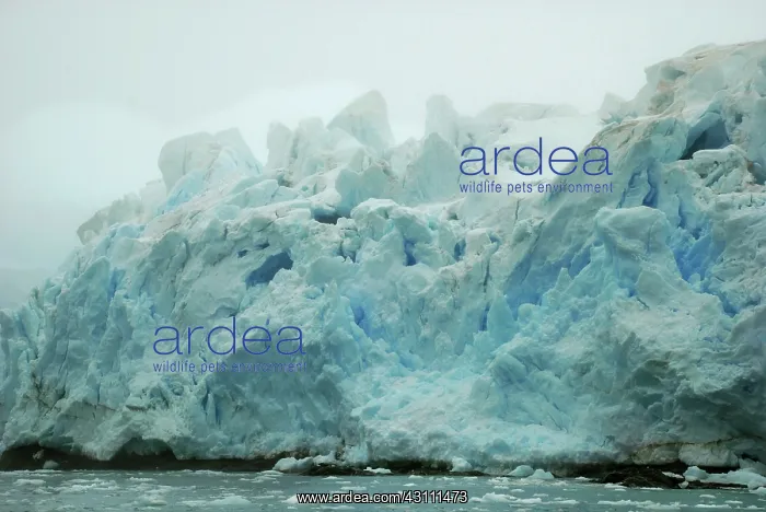 : Crumbling Glacier : Crumbling Glacier