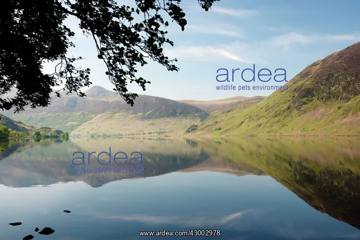 : Crummock Water - reflections : Crummock Water - reflections