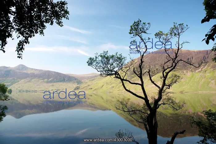 : Crummock Water - reflections : Crummock Water - reflections