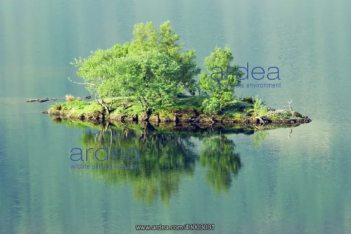 : Crummock Water - reflections : Crummock Water - reflections