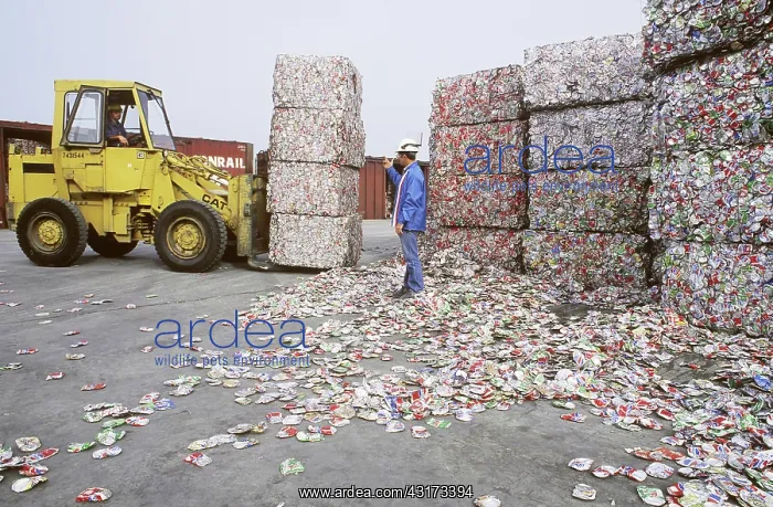 : Crushed Cans at Recycling Center : Crushed Cans at Recycling Center