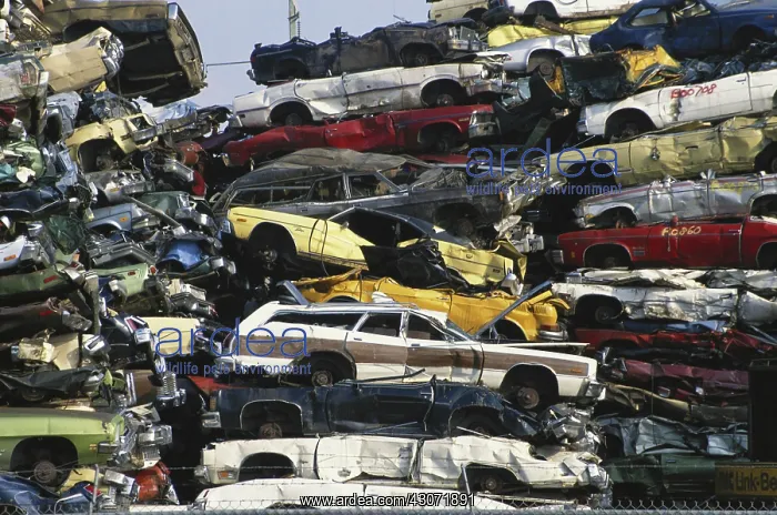 : Crushed Cars : Crushed Cars