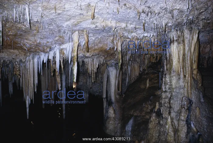 : Crystal Caves, Bermuda : Crystal Caves, Bermuda