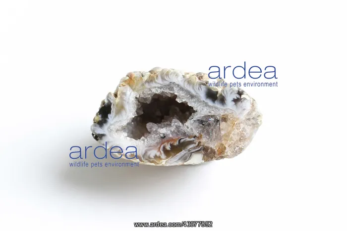 : Geode. Crystal geode. Lump of rock cut in half showing crystals formed inside : Geode. Crystal geode. Lump of rock cut in half showing crystals formed inside