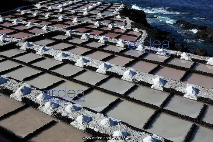 : Crystal pools, Salinas la Fuencaliente at Punta : Crystal pools, Salinas la Fuencaliente at Punta