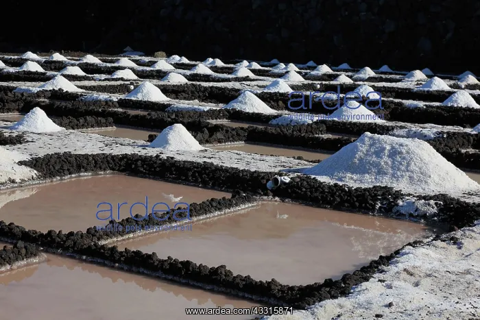 : Crystal pools and salt mountains of the salt works : Crystal pools and salt mountains of the salt works