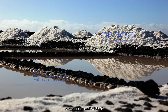 : Crystal pools and salt mountains of the salt works : Crystal pools and salt mountains of the salt works