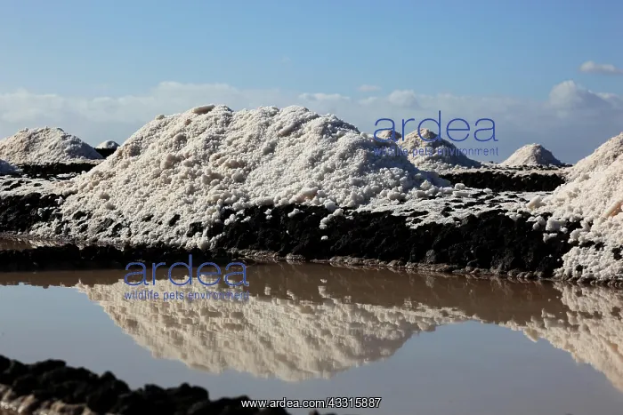  : Crystal pools and salt mountains of the salt works
