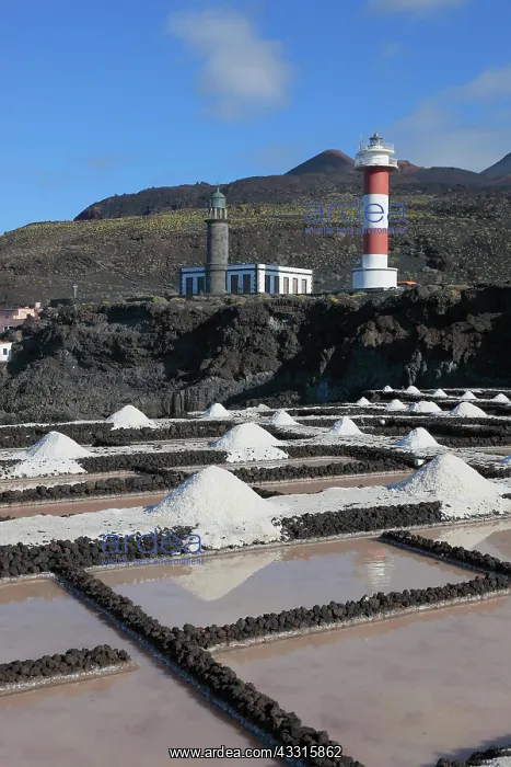 : Crystal pools, salt pans in Fuencaliente at the : Crystal pools, salt pans in Fuencaliente at the