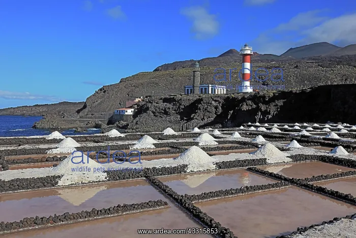 : Crystal pools of the salt works in Fuencaliente : Crystal pools of the salt works in Fuencaliente