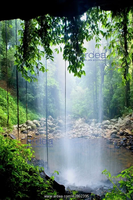 : Crystal Shower Falls : Crystal Shower Falls
