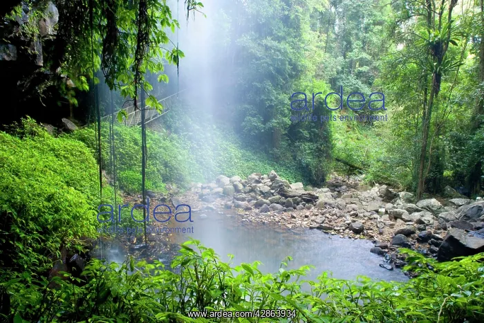 : Crystal Shower Falls
