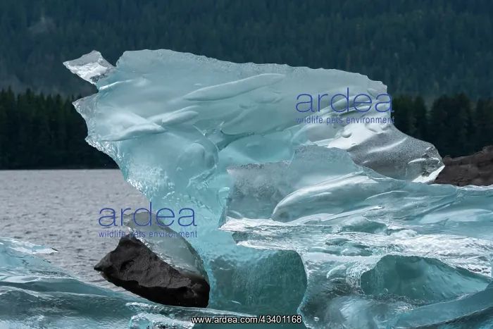  : Crystalline iceberg shines in Endicott Arm