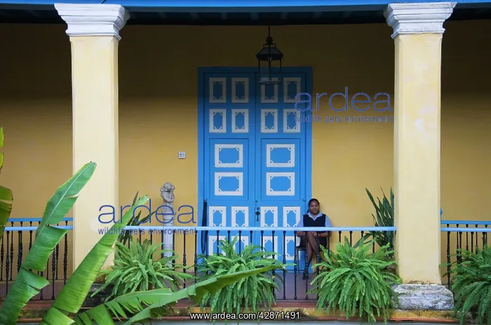 : Cuba - Attendant in the Colonial Art Museum at : Cuba - Attendant in the Colonial Art Museum at