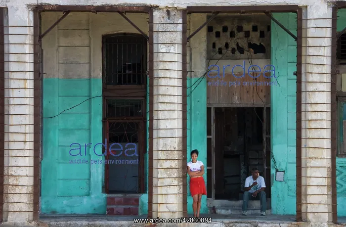 : Cuba - Many buildings and their facades at the : Cuba - Many buildings and their facades at the