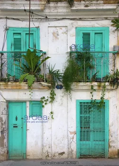 : Cuba - Many buildings and their facades in Cuba's : Cuba - Many buildings and their facades in Cuba's
