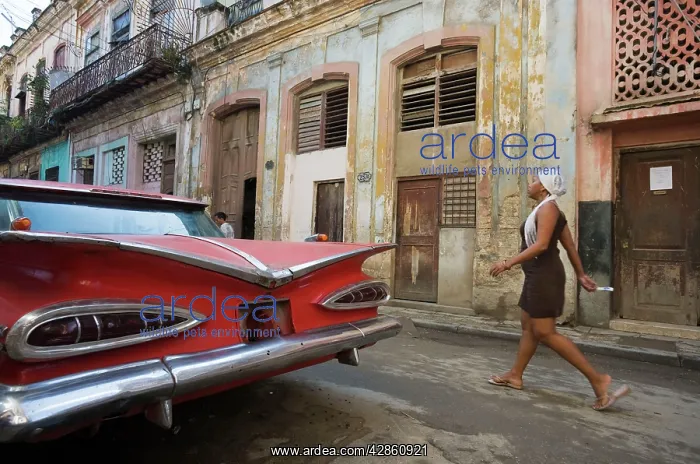 : Cuba - US cars and road cruisers from the 1950s : Cuba - US cars and road cruisers from the 1950s