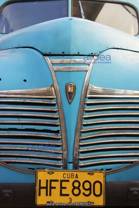: Cuba - US cars and road cruisers from the 1950s : Cuba - US cars and road cruisers from the 1950s