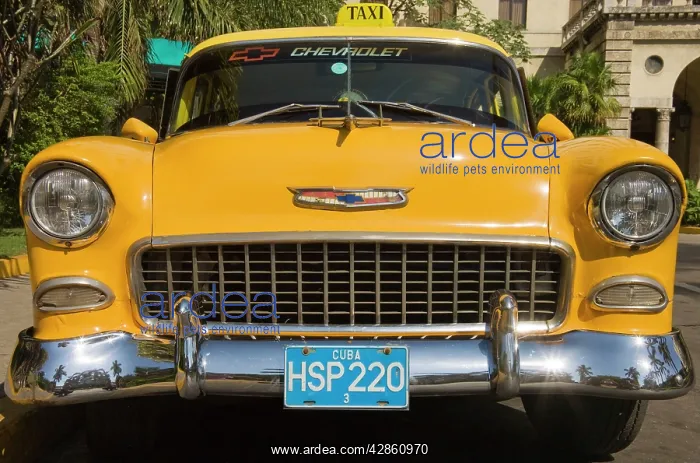  : Cuba - US cars and road cruisers from the 1950s