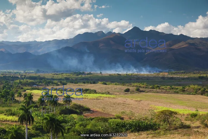 : Cuba, Sancti Spiritus Province, Trinidad : Cuba, Sancti Spiritus Province, Trinidad
