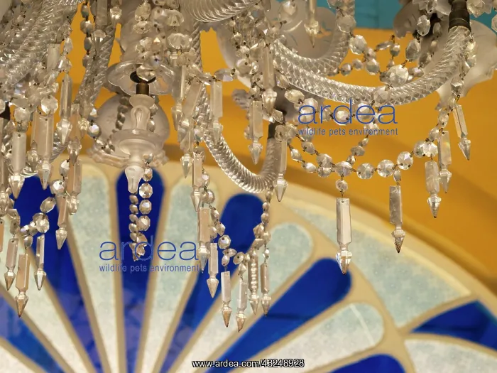 : Cuba, Santa Clara, ornate chandelier in historic theater : Cuba, Santa Clara, ornate chandelier in historic theater