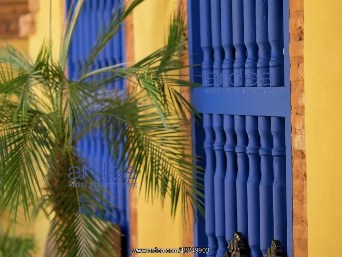 : Cuba, Trinidad, UNESCO World Heritage Site, blue : Cuba, Trinidad, UNESCO World Heritage Site, blue