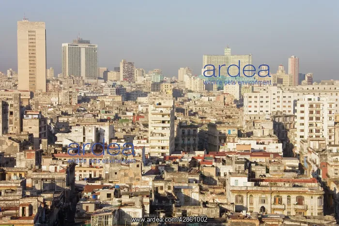 : Cuba - View of the broken buildings of Centro Habana : Cuba - View of the broken buildings of Centro Habana