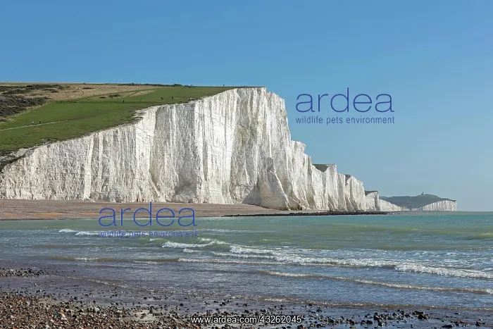 : Cuckmere Haven, The Seven Sisters chalk cliffs : Cuckmere Haven, The Seven Sisters chalk cliffs