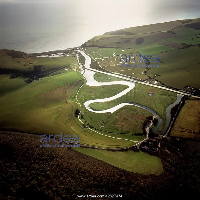  : Cuckmere river, Seven Sisters, East Sussex