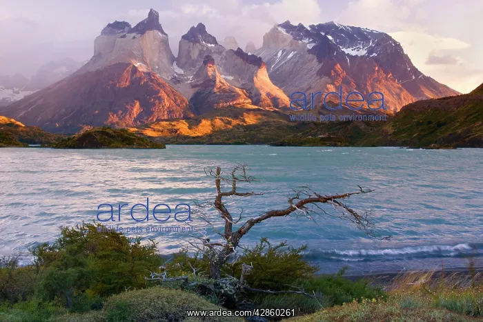 : Cuernos del Paine - mountain scenery encompassing : Cuernos del Paine - mountain scenery encompassing