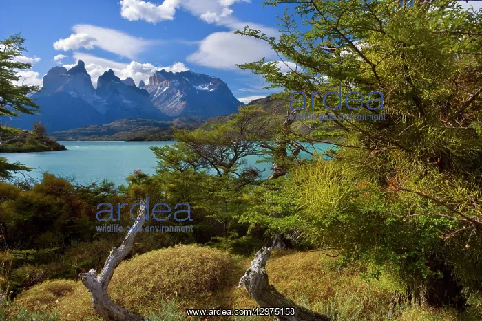 : Cuernos del Paine - mountain scenery encompassing : Cuernos del Paine - mountain scenery encompassing