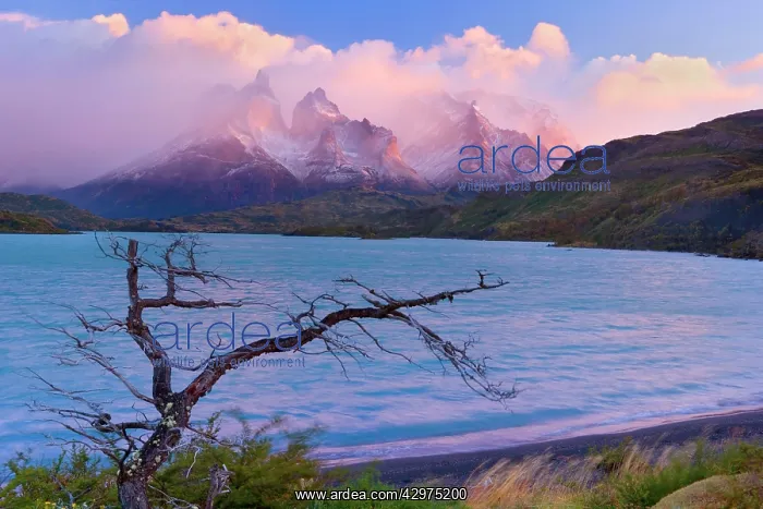 : Cuernos del Paine - mountain scenery encompassing : Cuernos del Paine - mountain scenery encompassing