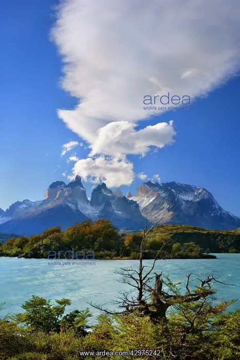 : Cuernos del Paine - mountain scenery encompassing : Cuernos del Paine - mountain scenery encompassing