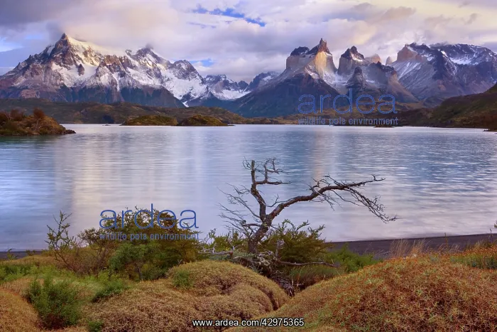 : Cuernos del Paine - mountain scenery encompassing : Cuernos del Paine - mountain scenery encompassing