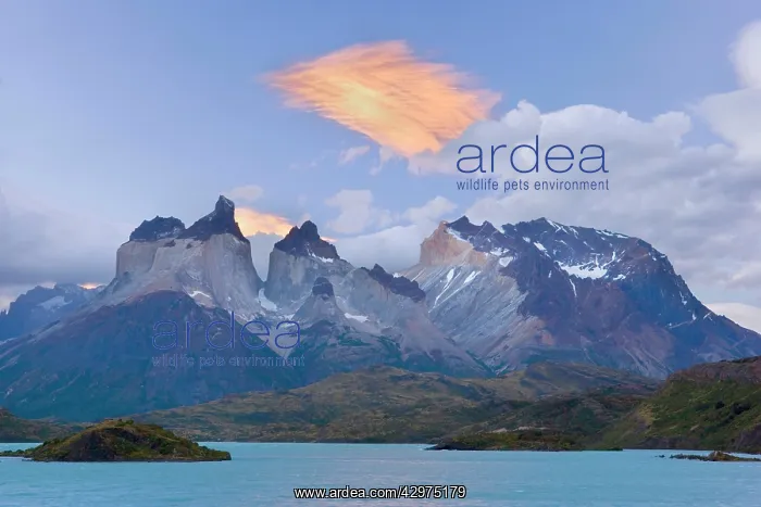  : Cuernos del Paine - peaks of Cuernos del Paine
