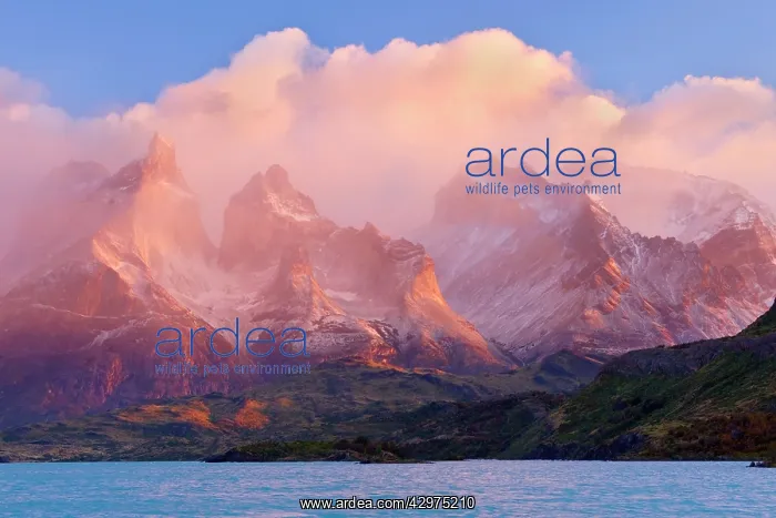 : Cuernos del Paine - peaks of Cuernos del Paine : Cuernos del Paine - peaks of Cuernos del Paine