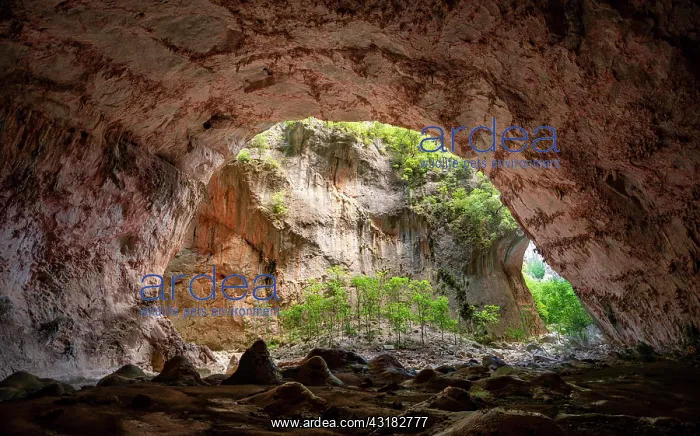 : Cueva de La Ermita cave, ravine, steep cliffs of : Cueva de La Ermita cave, ravine, steep cliffs of