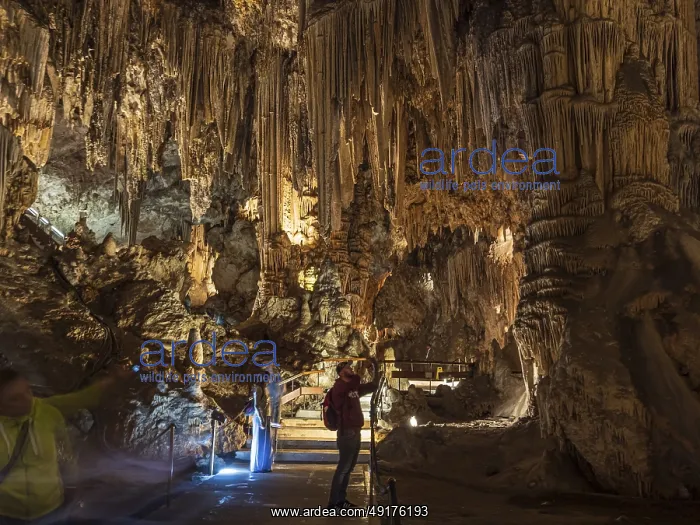 : Cueva de Nerja, illuminated cave : Cueva de Nerja, illuminated cave
