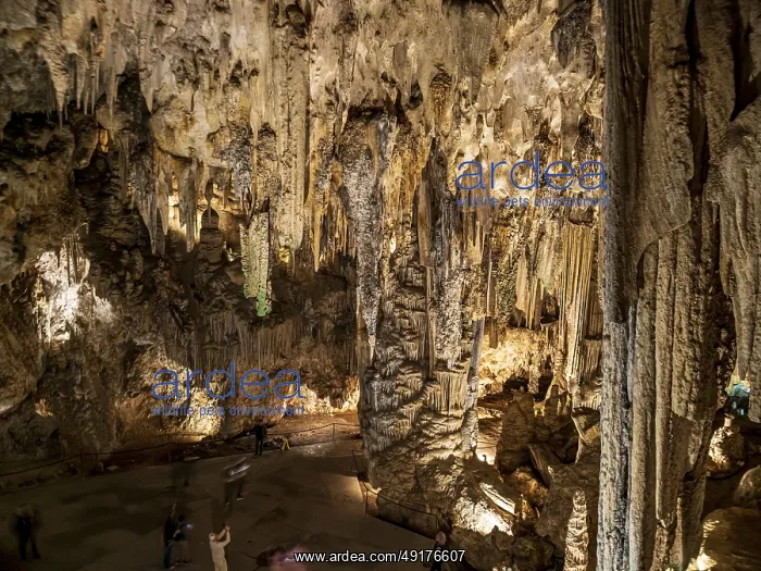 : Cueva de Nerja, illuminated cave : Cueva de Nerja, illuminated cave