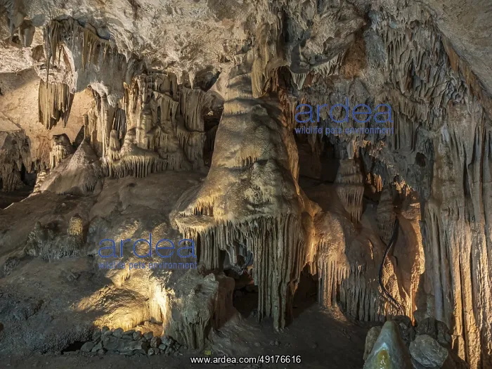 : Cueva de Nerja, illuminated cave : Cueva de Nerja, illuminated cave