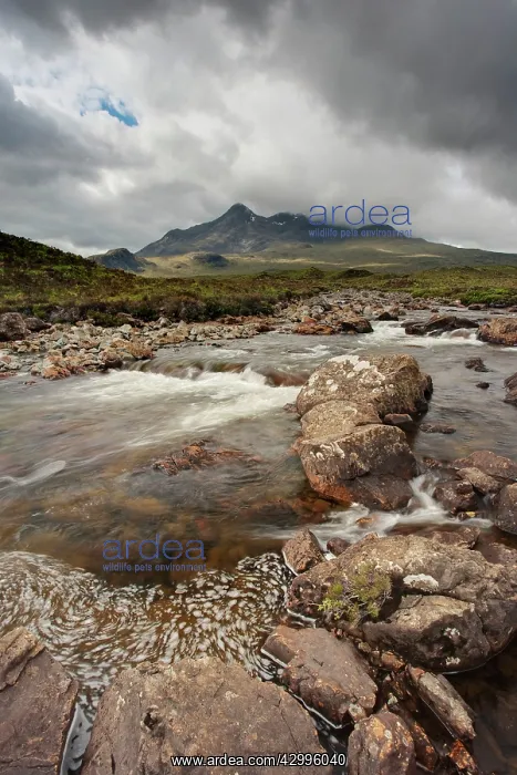: Cuillin mountain Sgurr nan Gillean from Glen Sligachan : Cuillin mountain Sgurr nan Gillean from Glen Sligachan