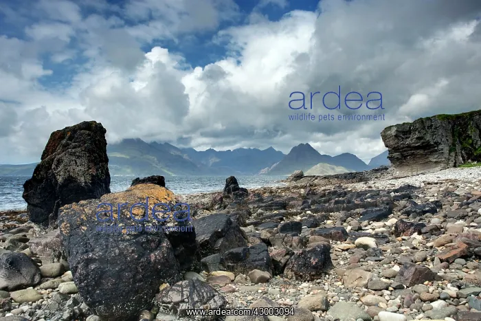 : Cullins - from Elgol Beach : Cullins - from Elgol Beach