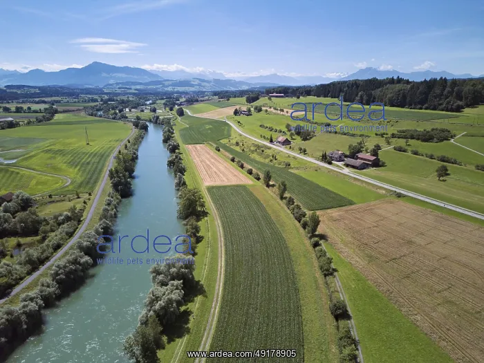 : Cultural landscape to the left and right of the river Reuss : Cultural landscape to the left and right of the river Reuss