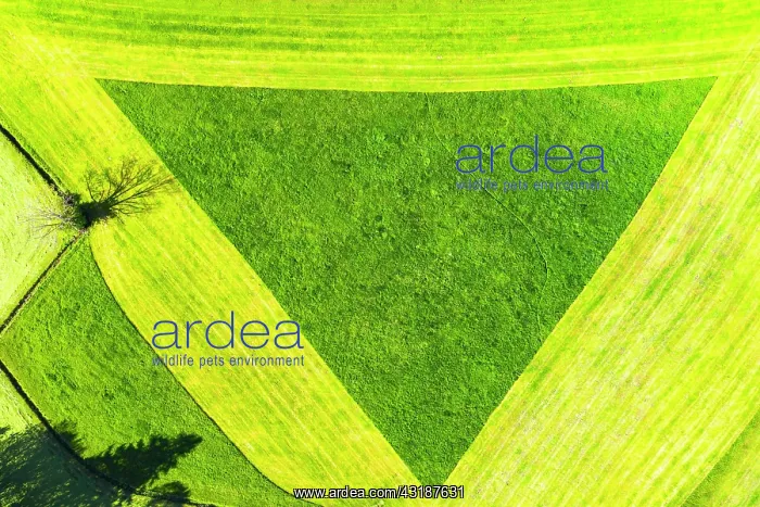 : Cultural landscape, triangle in partially mowed : Cultural landscape, triangle in partially mowed
